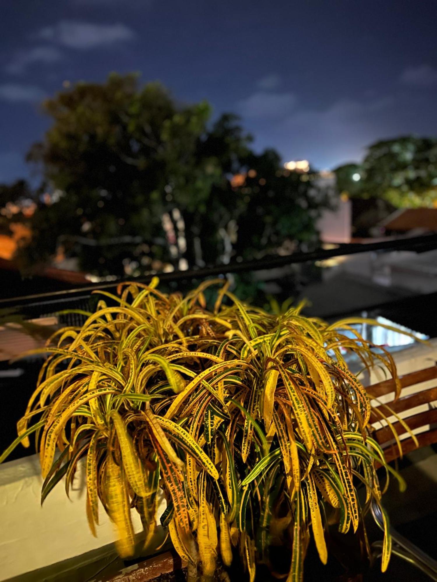 La Viduka Hostel Cartagena エクステリア 写真